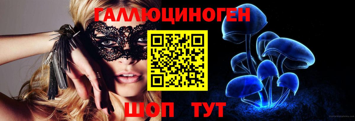 Сочи  сколько стоит  Вход с VPN  Псилоцибиновые грибы Cubensis  Галлюциногенные грибы Psilocybe 
